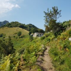 laatste stuk wandeling sentiero delle espressioni